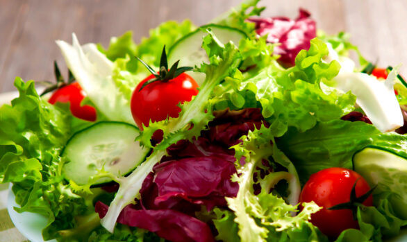 Ristorante il Ricciobruno Ponsacco (Pisa)