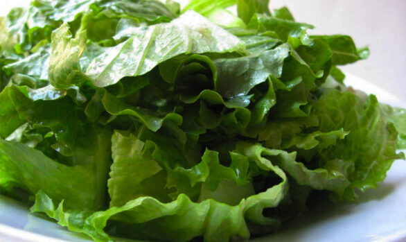 Ristorante il Ricciobruno Ponsacco (Pisa)